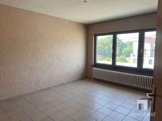 9262 afbeelding 12