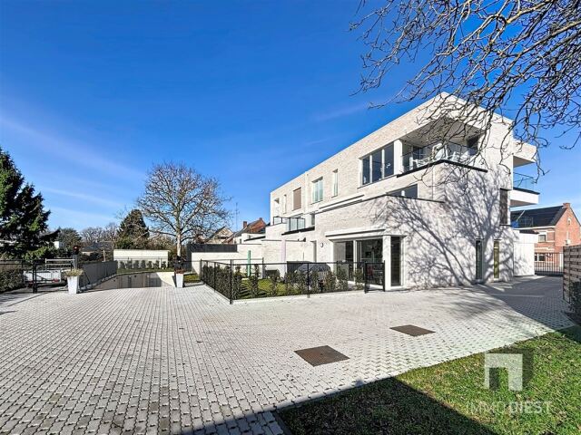 geelsebaan-128-tessenderlo_00107.jpg